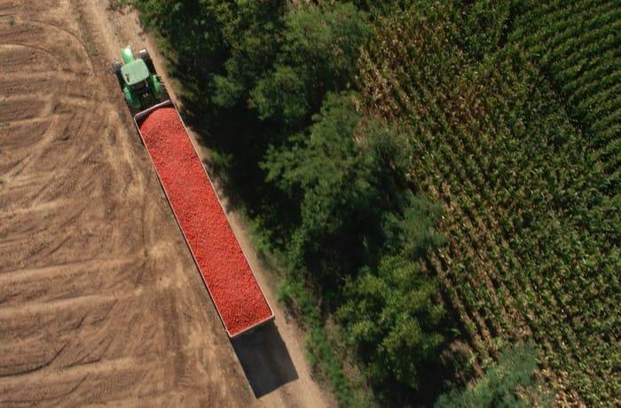 pomodoro da industria 2024 2 (1) (1)